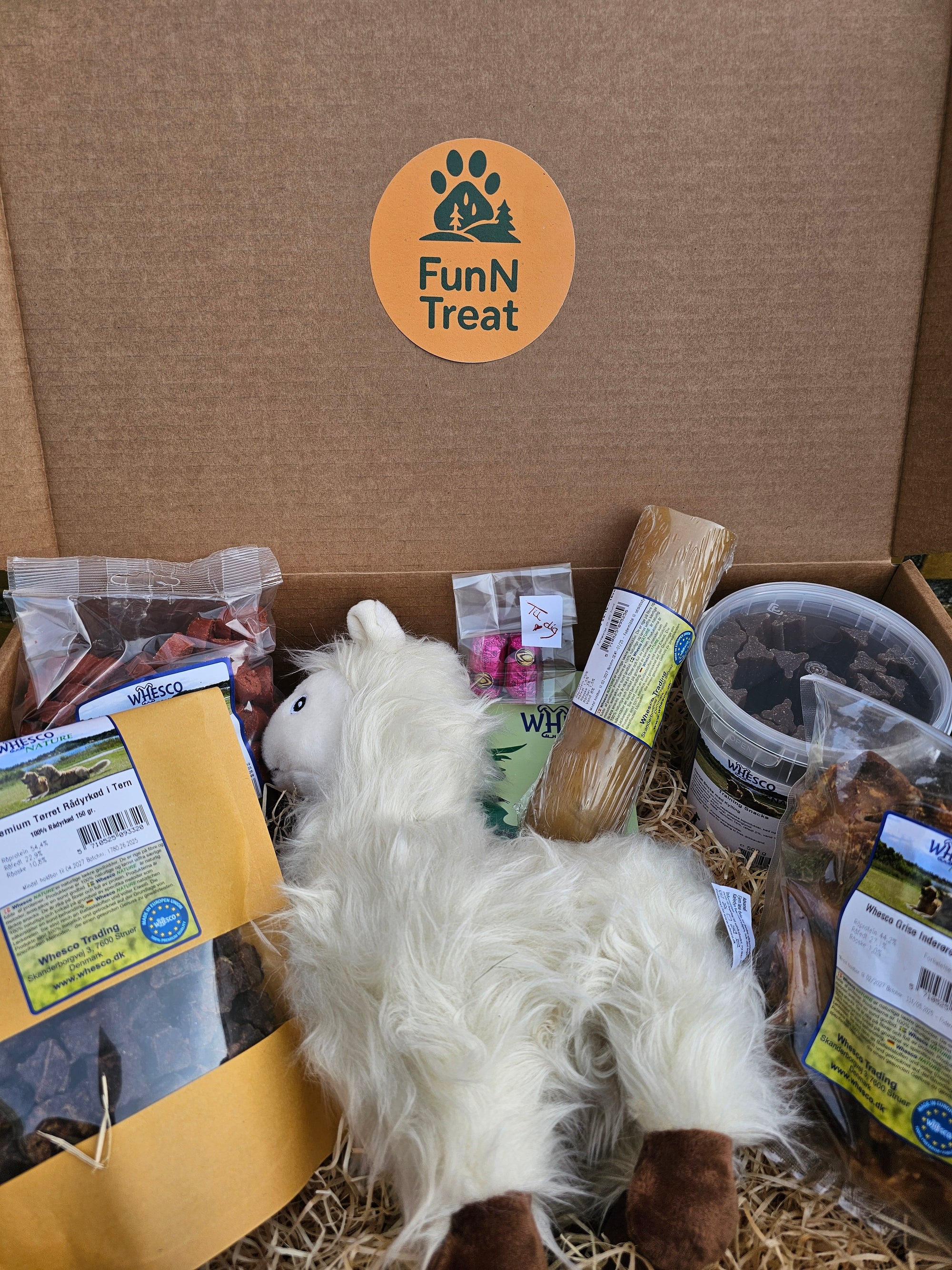 Monatsbox für große Hunde