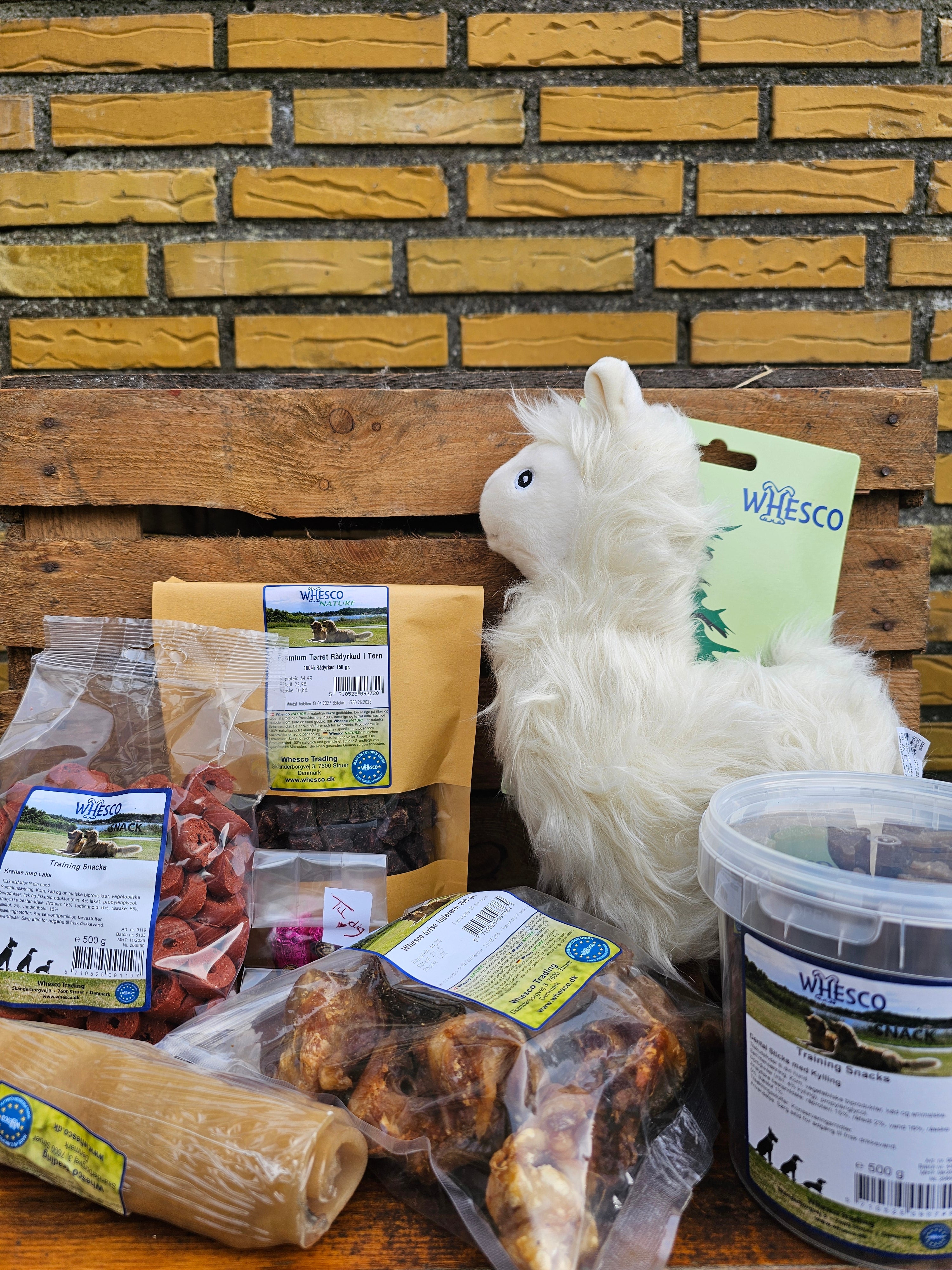 Monatsbox für große Hunde