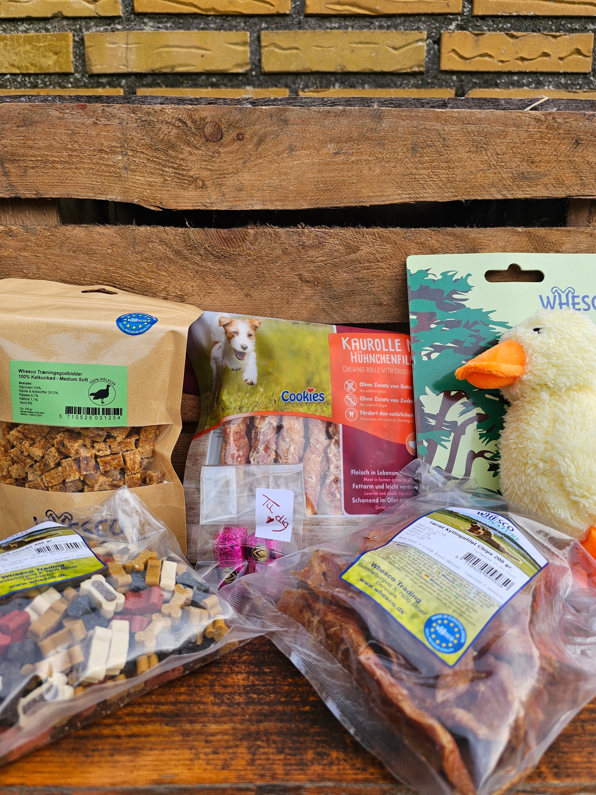 Monatsbox für kleine Hunde